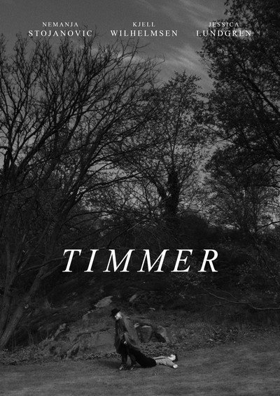 Póster de Timmer