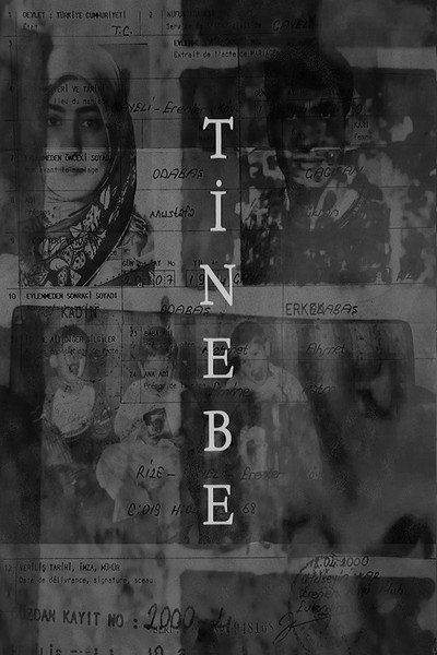 Póster de Tinebe