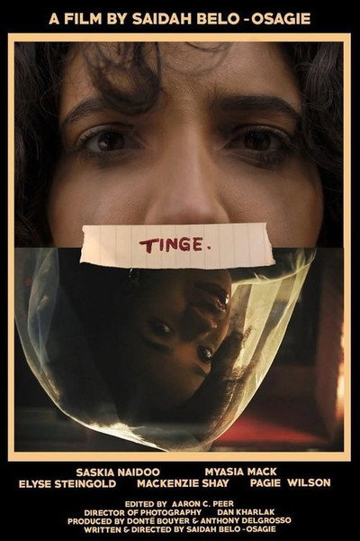 Póster de Tinge