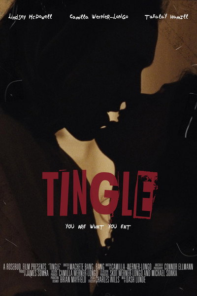 Póster de Tingle