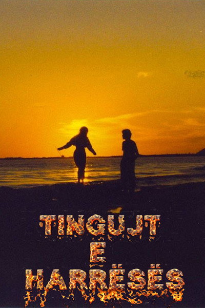 Póster de Tingujt e Harresës
