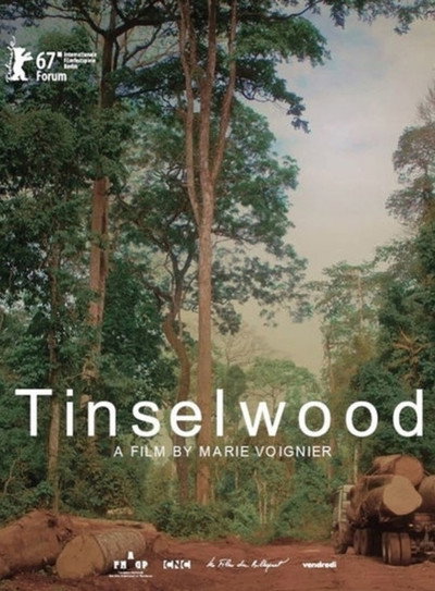 Póster de Tinselwood