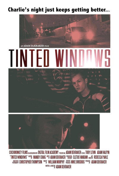Póster de Tinted Windows