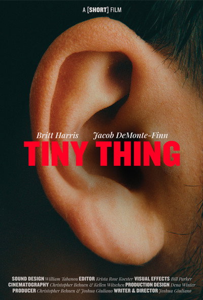 Póster de Tiny Thing