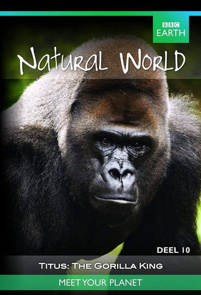 Póster de Titus: The Gorilla King