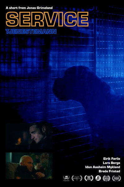 Póster de Tjenestemann