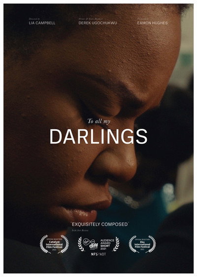 Póster de To All My Darlings