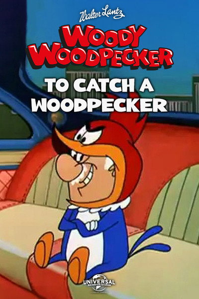Póster de To Catch a Woodpecker