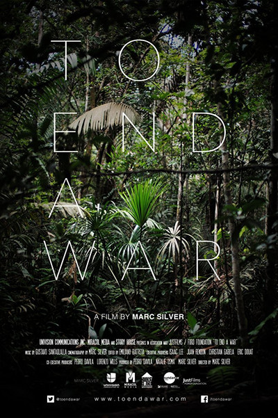 Póster de To End a War