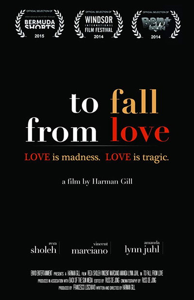 Póster de To Fall from Love
