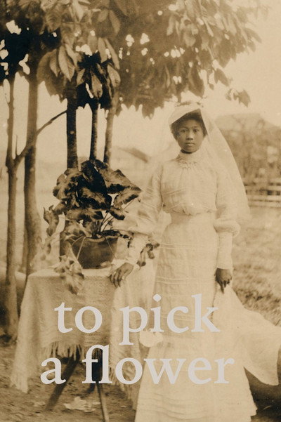 Póster de To Pick a Flower