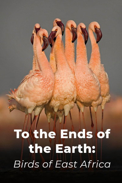 Póster de To the Ends of the Earth: Birds of East Africa