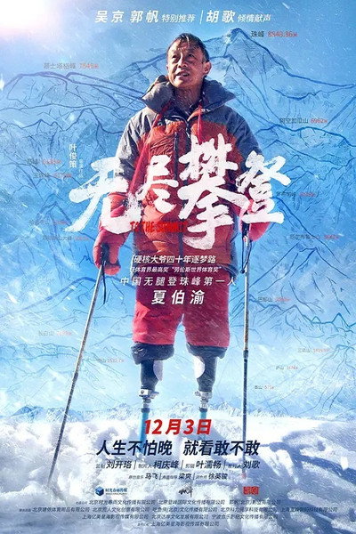 Póster de To the Summit