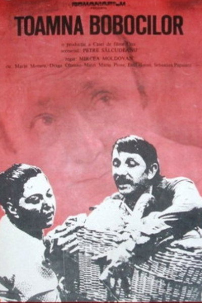 Póster de Toamna bobocilor
