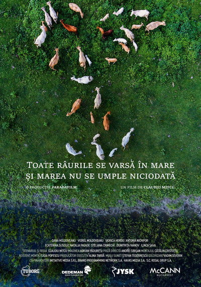 Póster de Toate raurile se varsa in mare si marea nu se umple niciodata