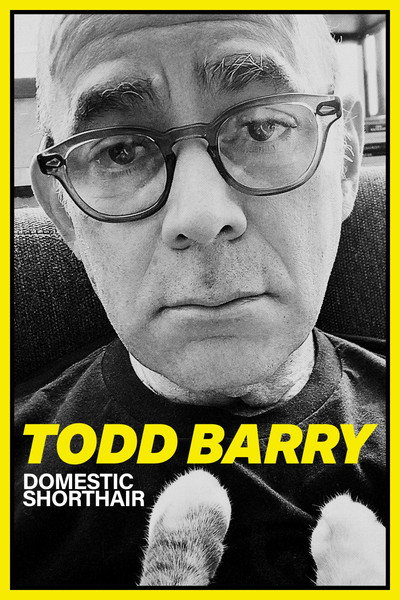 Póster de Todd Barry: Domestic Shorthair