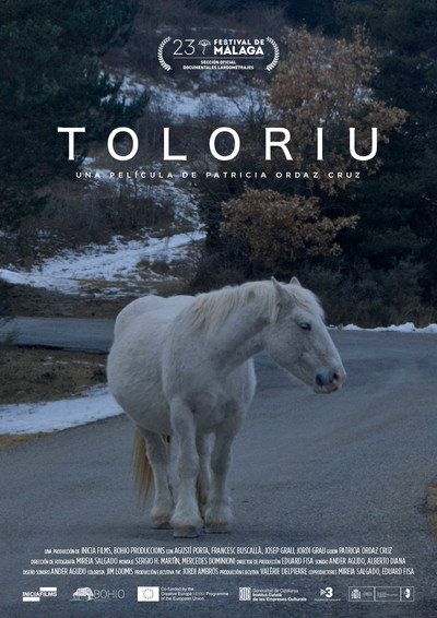 Póster de Toloriu