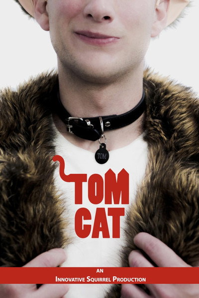 Póster de Tom Cat