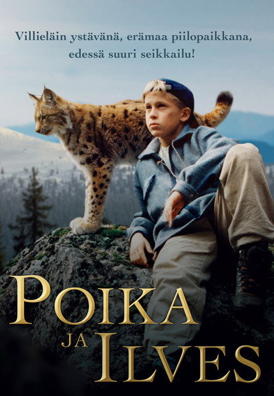 Póster de Tommy and the Wildcat