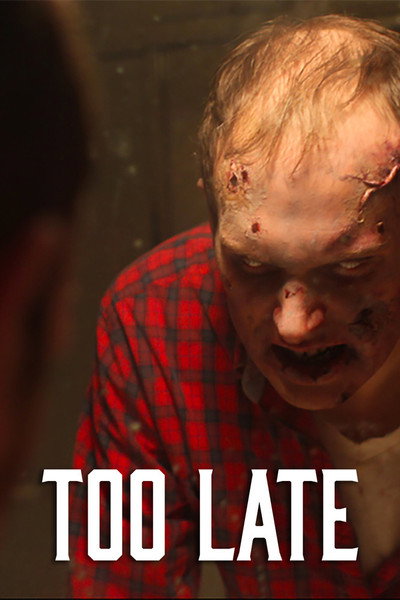 Póster de Too Late