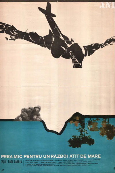 Póster de Too Little for Such a Big War