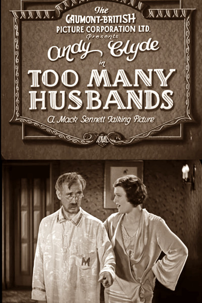 Póster de Too Many Husbands