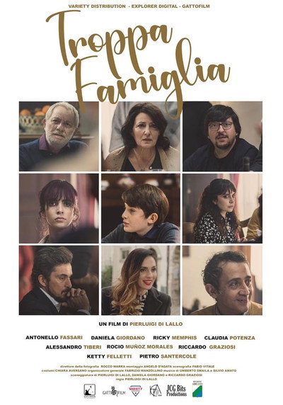 Póster de Too Much Family!
