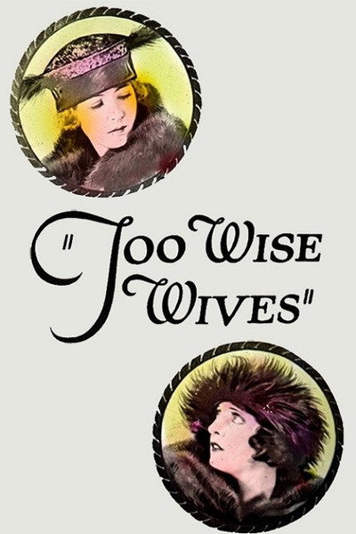 Póster de Too Wise Wives