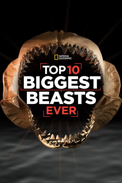 Póster de Top 10 Biggest Beasts Ever