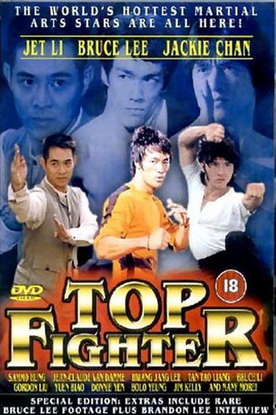 Póster de Top Fighter