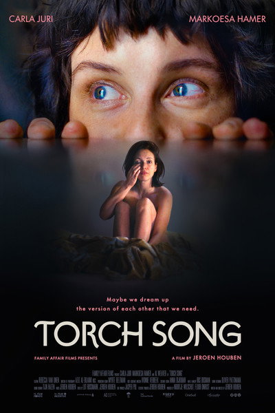 Póster de Torch Song