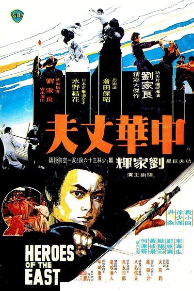 Póster de Tormenta de kung fu en el paraíso