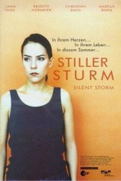 Póster de Tormenta silenciosa