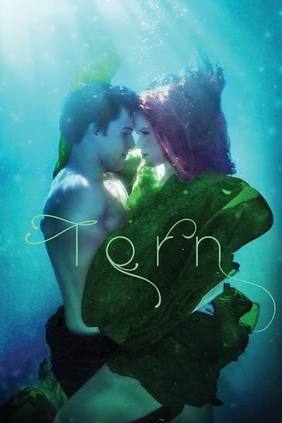 Póster de Torn