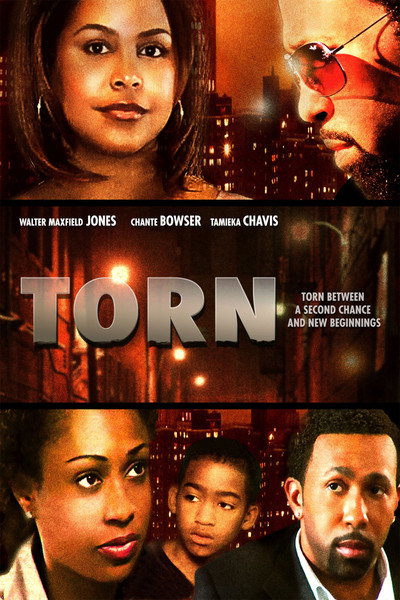 Póster de Torn