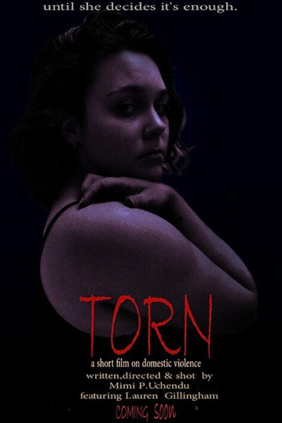 Póster de Torn