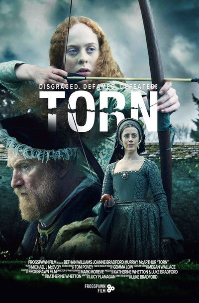 Póster de Torn