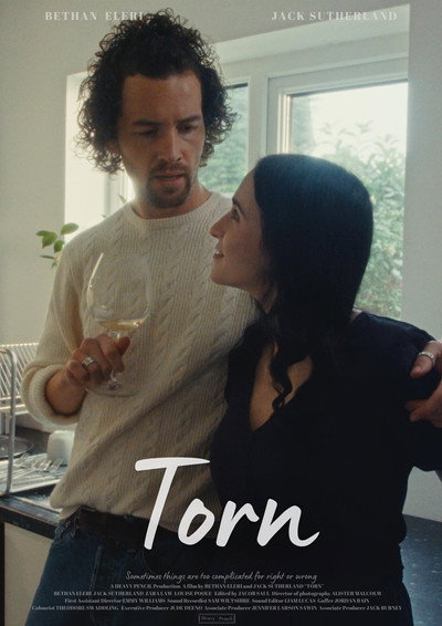 Póster de Torn