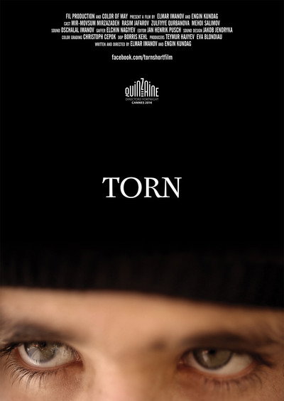 Póster de Torn