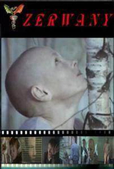 Póster de Torn