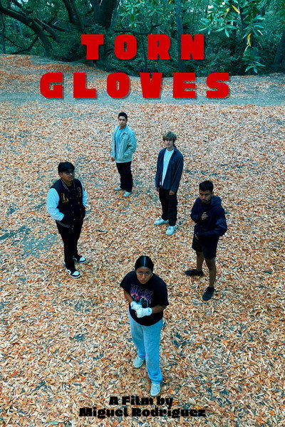 Póster de Torn Gloves