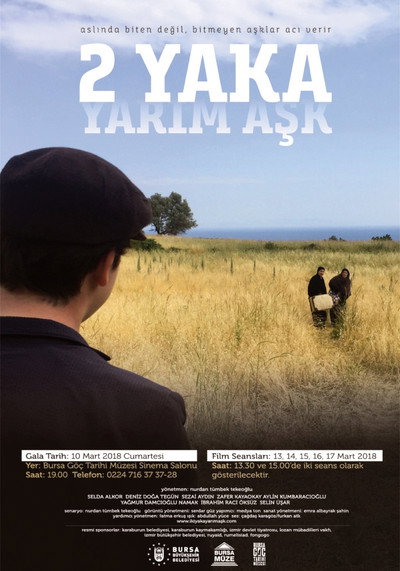 Póster de Torn Love