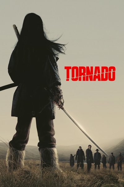 Póster de Tornado