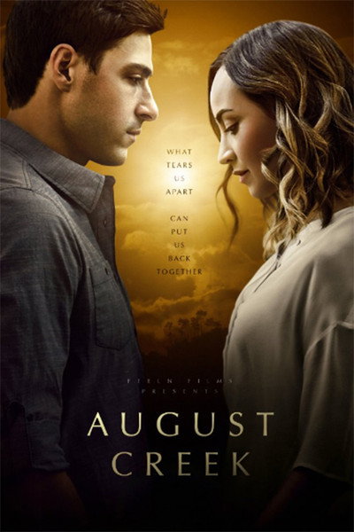 Póster de Tornar a l'amor