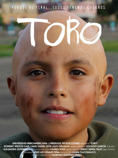Póster de Toro