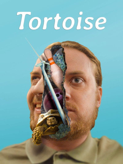 Póster de Tortoise