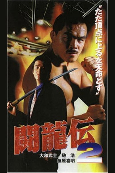 Póster de Toryu-den 2