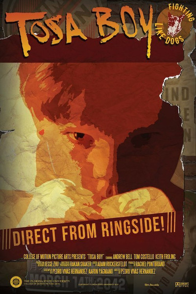 Póster de Tosa Boy