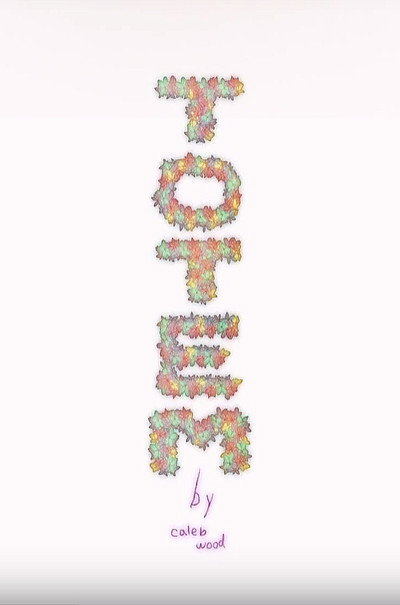 Póster de Totem