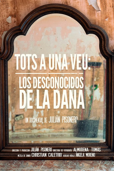 Póster de Tots a una veu: Los desconocidos de la DANA